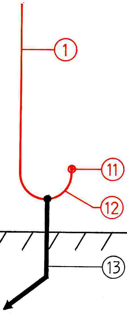figure 5, 5.jpg