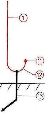 figure 5, 5.jpg